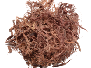 Quality Ayahuasca for sale online