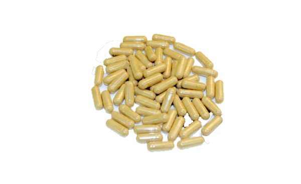 Iboga Capsules