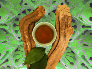 Ayahuasca