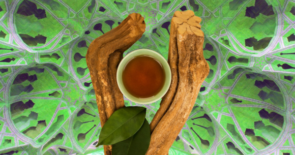 Ayahuasca